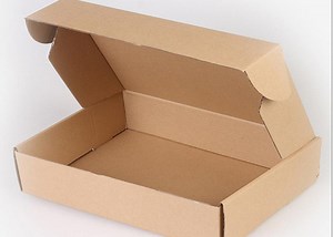 [Hot Item] Eco Food Package Disposable Take out Take Away Boxes and Bags