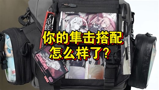 亮出自己喜欢的斜挎包！自己喜欢便好，无需听他人多言！头狼工业子品牌/ALPHA WOLF ，隼击斜挎包，二次元，痛包，机能包，通勤上学包，一包就够！