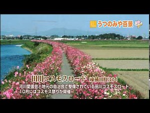 【宇都宮市】うつのみや百景