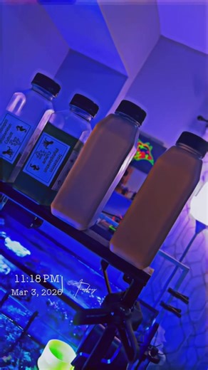 Dosing that phytoplankton! Four different types going in tonight! Tetraselmis, Tisochrysis, Rhodomonas, and Nannochloropsis. #coral #corals #saltwater