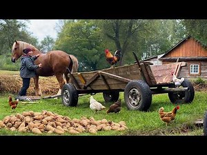 Rustic Ukrainian Village Life – Daily Harvest & Fire Cooking