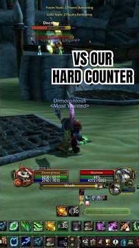 ⚡️GOOD FIGHT VS Our Hard Counter - Ret Pally + Resto Sham - TBC Classic WoW⚡️