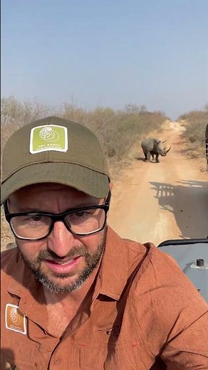 Rhino wakes up from being darted