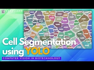 Fine-Tune YOLO for Cell Segmentation