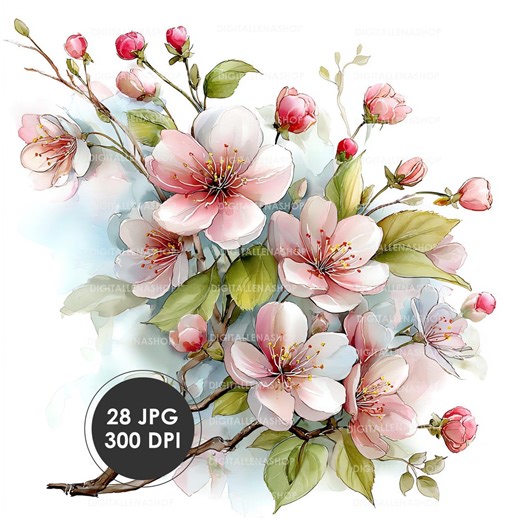Sakura Cherry Blossom Watercolor Clipart Set | Spring Flowers | 28 JPG Files | Digital Download - Etsy