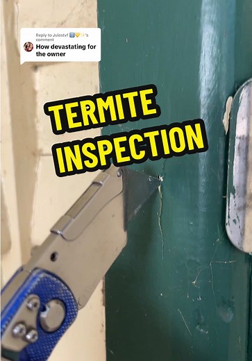 Effective Termite Inspection Techniques for Homeowners