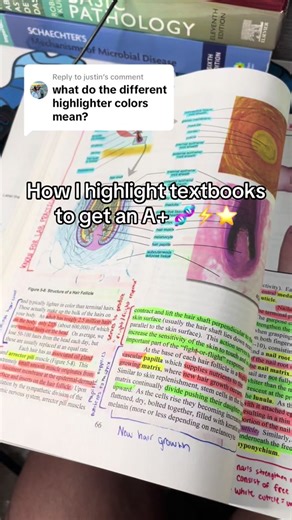 Replying to @justin this is how i highlight my textbooks to help me study for my exams to get an A ! #anatomy #physiology #beginner #tips #study #studytips #exercise #science #premed #nursing #nursingstudent #prenursing #fyp #college #kinesiology #nursingschool #medschool #medicalschool #hacks #pt #howtostudy #studytok #textbook #highlight #annotatedbooks