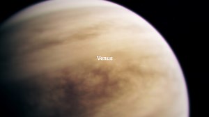 Venus, espectacular este mes de junio