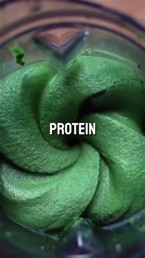 Highest Protein Foods You Should Know About