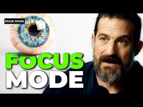 Neuroscientist: Regain Focus & Concentration FAST (Do This Before You Work)