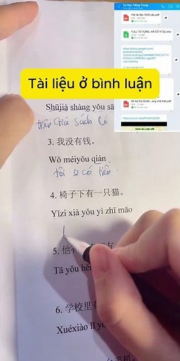 Chinese Sentence Structure and Translation Practice for Beginners #Chinese #BasicChinese