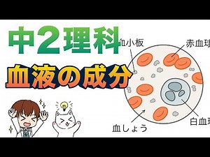 【中２理科】血液の成分（赤血球・白血球・血小板・血しょう）【生物動画９】