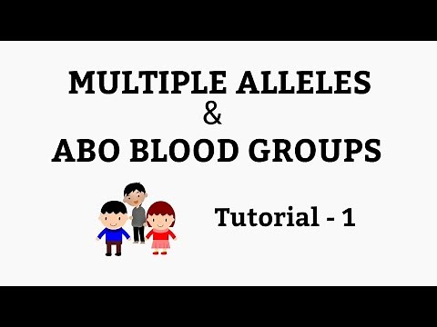 Multiple Alleles - ABO blood groups - their genotypes and co dominance. NCERT Class 10,12 Biology.