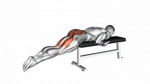 Reverse Hyper On Flat Bench Hips Stock Footage Video (100% Royalty-free) 1046311180 | Shutterstock