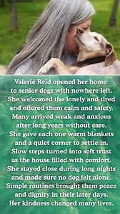 Watermelon Sugar on Reels