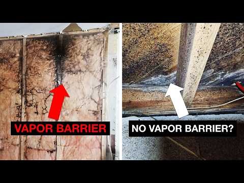 You DON'T Understand Vapor In Buildings!