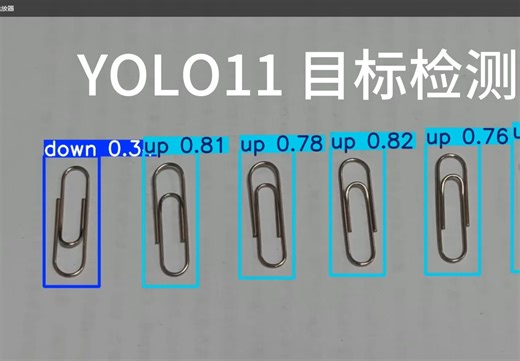 YOLO11目标检测教程 Label-studio制作数据集
