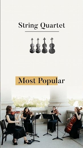 Which String Ensemble Should I Choose For My Event? | Quartets, Trios, & Duos Explained