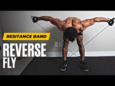How To Do Reverse Flys With Resistance Band | Shoulder Workout | Fitness My Life