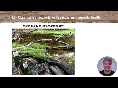 4.1.2 Observable Characteristics 2025