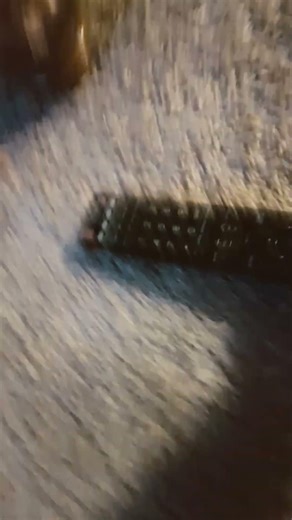 of course I dropped the remote