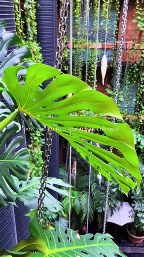 Spa Holiday Experience at Manon les Suites, Copenhagen