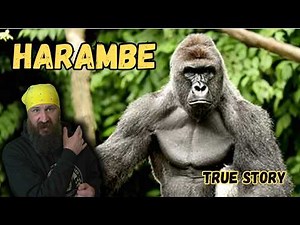 Harambe | The Zoo Incident That Shocked the World | True Story