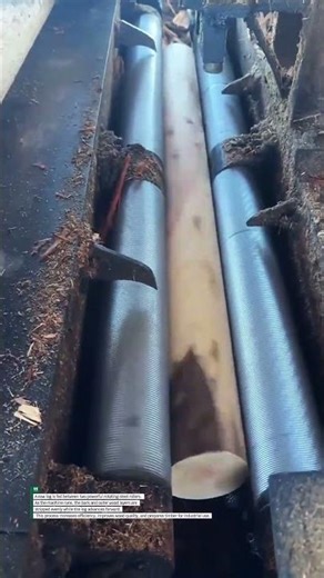 Wood Log Peeling Machine Process | Fast Industrial Timber Debarking System