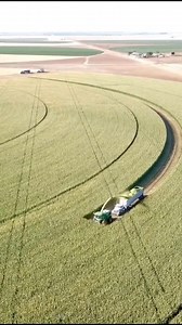 it's so beautiful😲😲😲 | Media 2