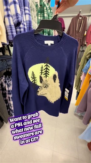 Affordable Fall Sweaters for Cozy Style