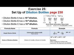 Bi 210 Lab 9 Exercise 25 Standard Plate Count