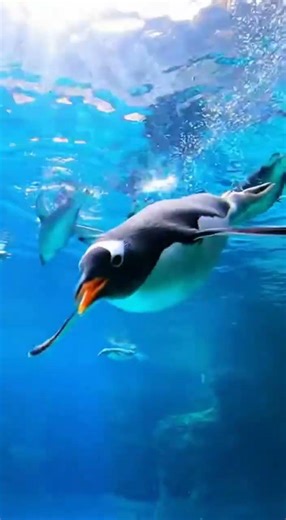 Animals You Have to See in Zoos 🐾| Must- Visit Wildlife Experiences