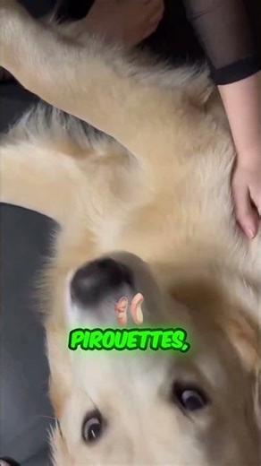 My Dog Tried to Join Ballet Class 🐶🩰 | Funny Ballet Warm-Up Moment