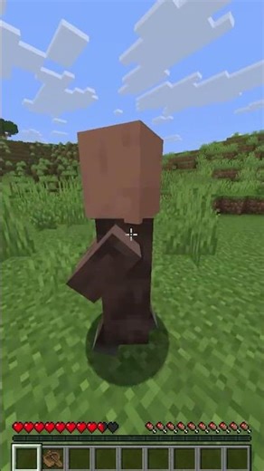 Minecrafta Evcil Bir YAĞMACI İster Misin? #minecraft