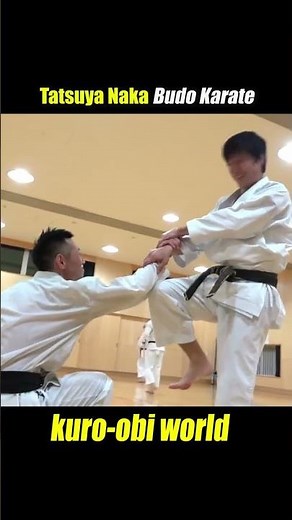 “Power in silence, precision in motion — Kanku Sho by Tatsuya Naka Sensei. 🥋🔥”