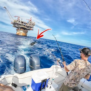 14K views · 238 reactions | You Never Ever Wanna Catch These While Trolling! | The Lawless Tide | Facebook