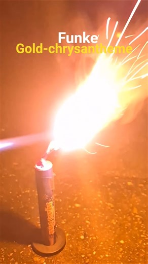 Funke gold-chrysantheme junior fontanen #feuerwerk #fireworks #vuurwerk