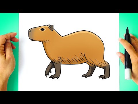 How to DRAW a CAPYBARA