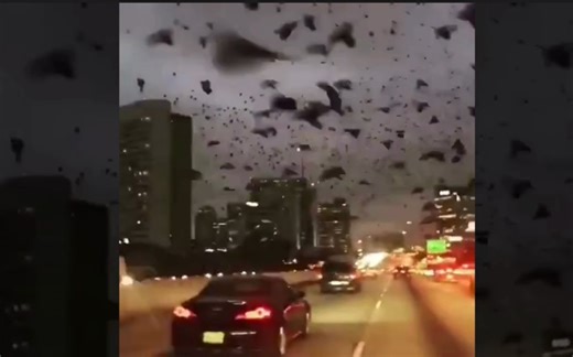 现场直播：台风的恐怖