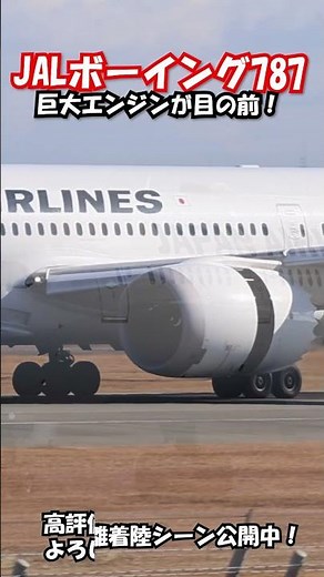 【至近距離】JAL B787 🛬 目の前を駆け抜ける大迫力着陸！ #jal #b787 #飛行機