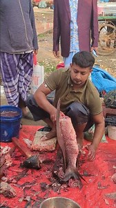 Amazing Big Ruhi Fish Super First Cutting #fish #fishcutting #fishcutting_skills #youtubeshorts