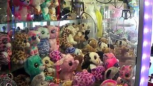 Beanie Boo Claw Machine Win