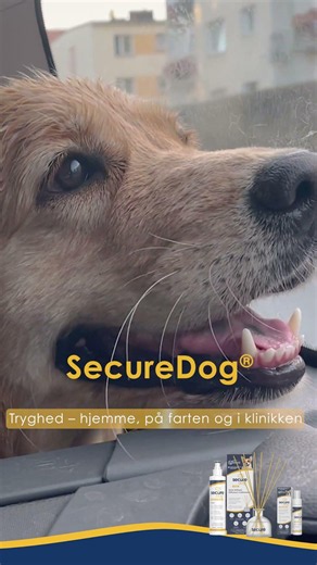 SecureDog™ – tryghed i hundens hverdag
