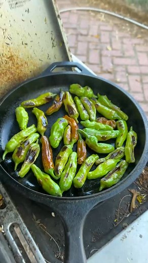 Shishitos have easily become one of my favorite peppers and this recipe is my gateway into shishito addiction. #shishito #shishitopepper#grafting001 | Donald Tyson