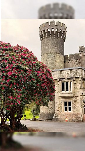 Hidden Castle in Ireland 🇮🇪 | Johnstown Castle