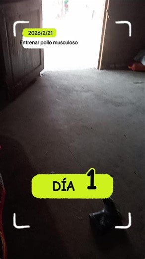 Videos de Juana Turquiz Ramon (@alexander.hugo.tu) con “sonido original - senki ♑”