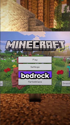 The Best Cracked Java/Bedrock Minecraft Server 🎮🔥