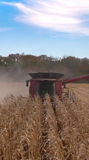 🎥 🥸 Ever seen a shot where the background seems to stretch or compress while the subject stays the same size? That’s the dolly zoom effect! It’s a mind bending cinematic move made famous by Hitchcock in the 1958 film, Vertigo. Steven Spielberg is also a notable mention for making it popular in film. With a drone, it’s done by flying backward or forward while adjusting the camera zoom in the opposite direction. 📝 The result? A dramatic sense of motion and depth that instantly grabs attention. 