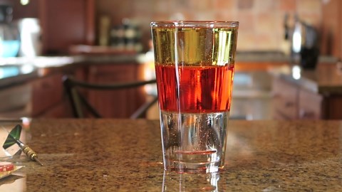 Density Experiment Float or Sink