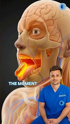 Omega-3 Inside Your Body #omega3#brainhealth#hearthealth#healthscience#humanbody#nutrition#anatox